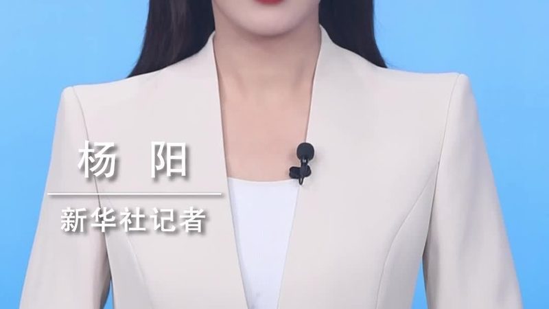 信息化建设项目管理实施方案：关键步骤与要点解析**